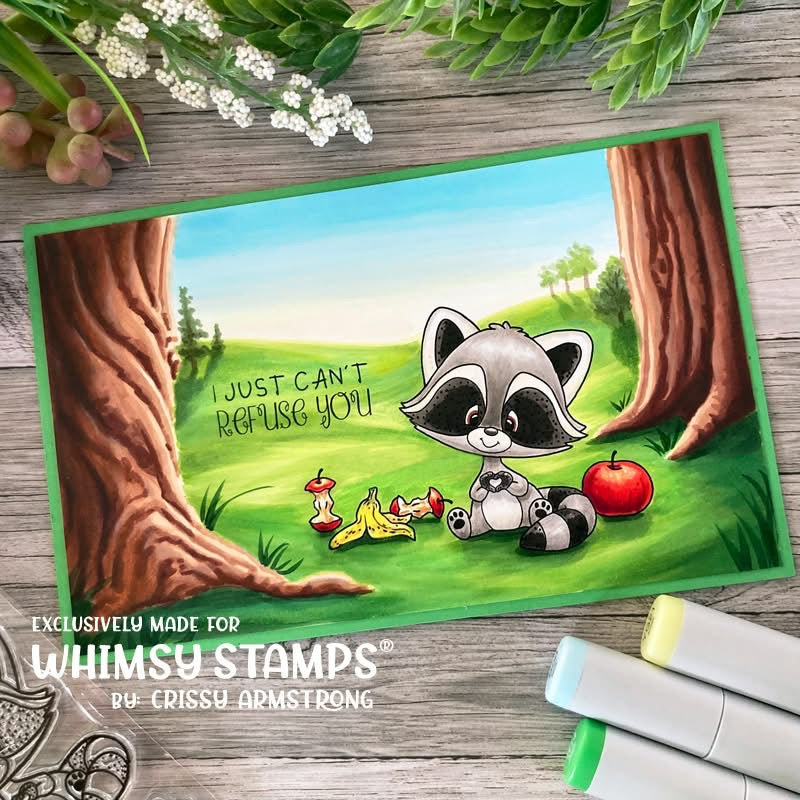 Raccoon How've You Bin Clear Stamps - Whimsy Stamps