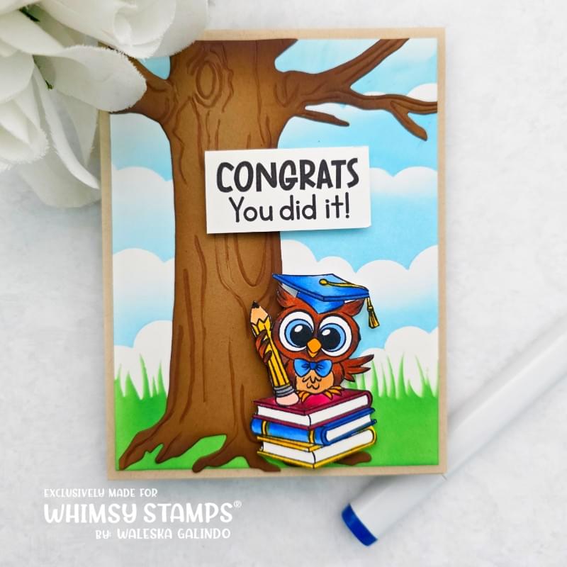 *NEW Owl Ways Reach for the Stars Clear Stamps - Whimsy Stamps