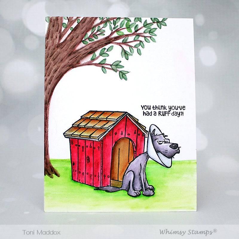 Cone of Shame Clear Stamps - Whimsy Stamps