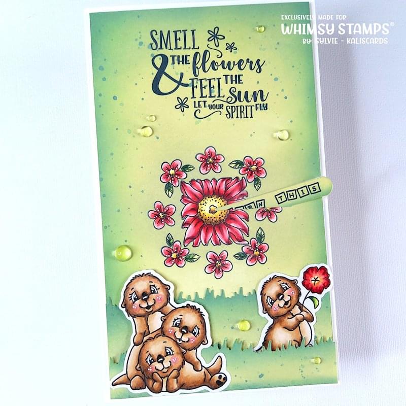 **NEW Otter Variety 2 Outline Die Set - Whimsy Stamps
