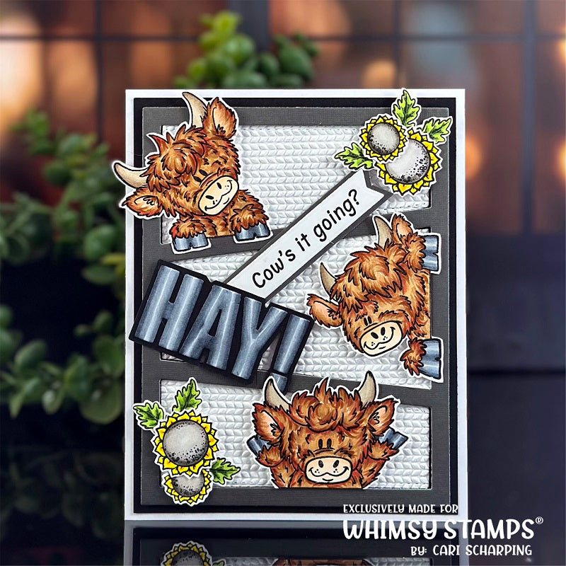 **NEW Cow Crazy Clear Stamps