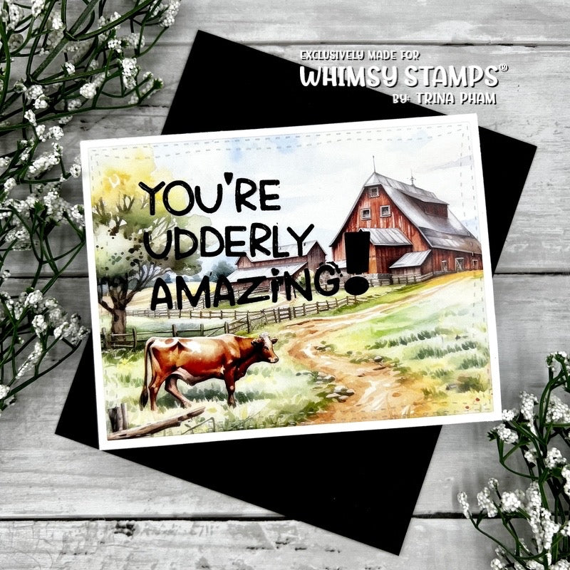 **NEW 6x6 Paper Pack - Country Farm - Whimsy Stamps