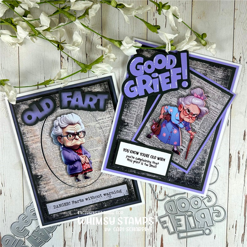 **NEW Old Fart Geezer Word and Shadow Die Set - Whimsy Stamps