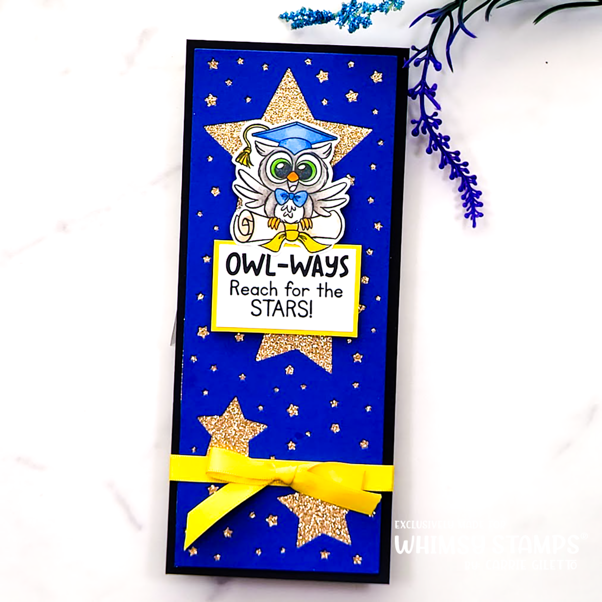 Owl Ways Reach for the Stars Clear Stamps - Whimsy Stamps