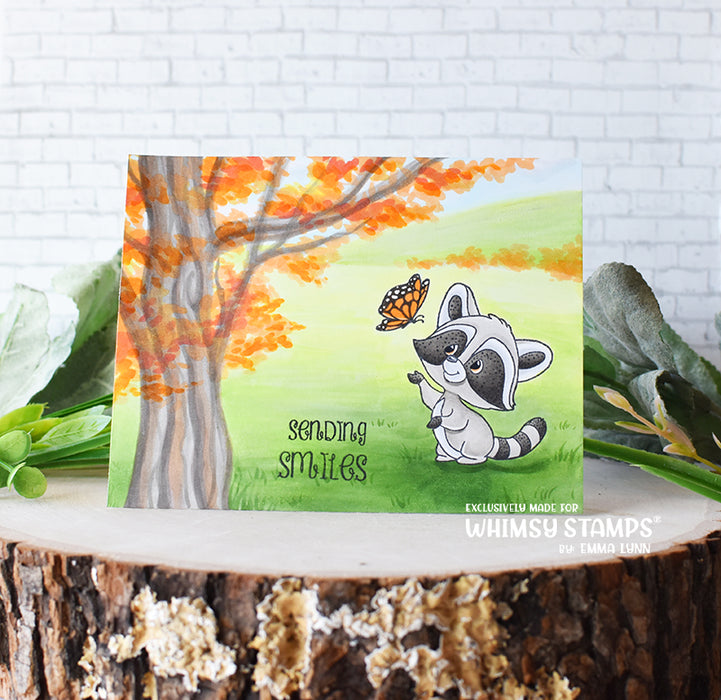 *NEW Raccoon Happy Day Clear Stamps - Whimsy Stamps