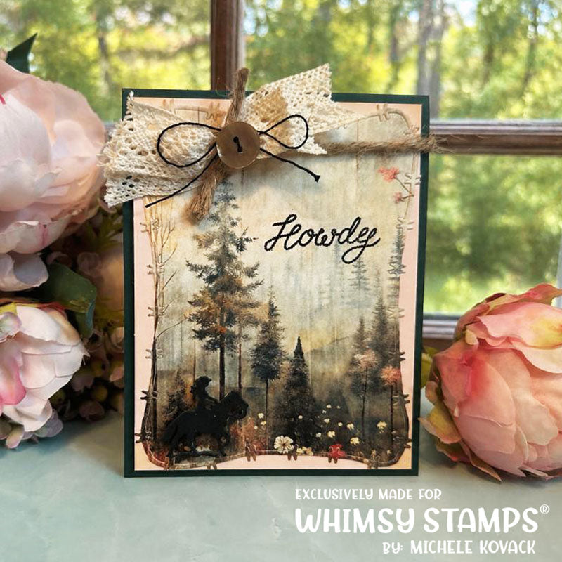 *NEW Cowboy Obsession Clear Stamps - Whimsy Stamps