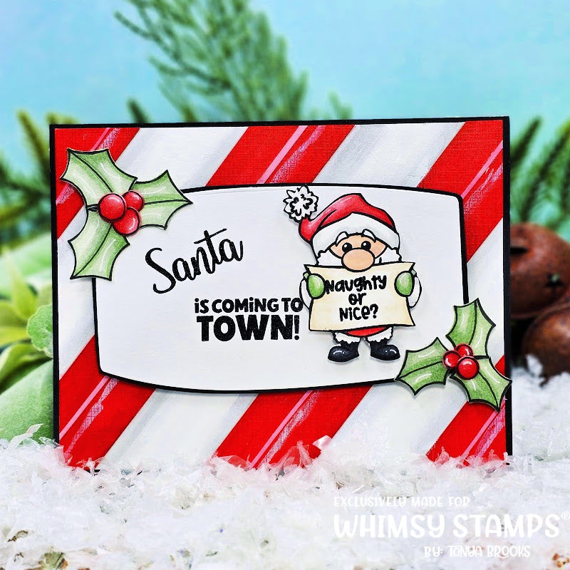 *NEW Santa Comes to Town Clear Stamps