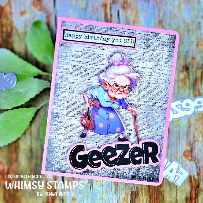 **NEW Old Fart Geezer Word and Shadow Die Set - Whimsy Stamps