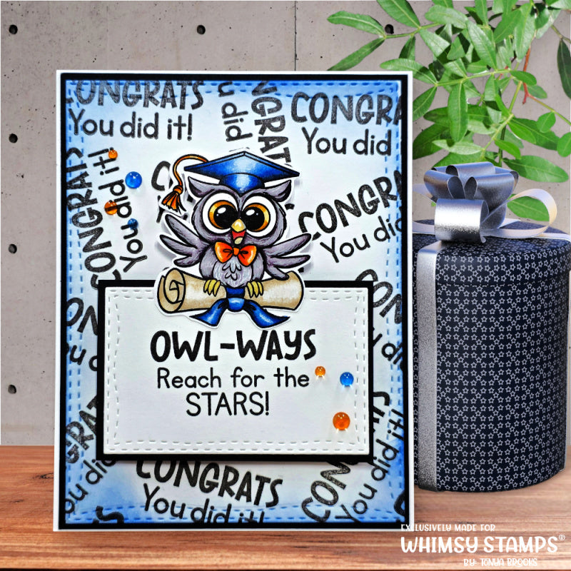 *NEW Owl Ways Reach for the Stars Clear Stamps - Whimsy Stamps
