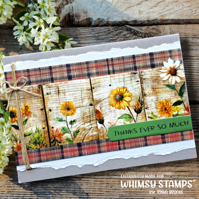*NEW 6x6 Paper Pack - Rustic Mountain - Whimsy Stamps