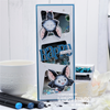 **NEW Cutie Batootie Clear Stamps - Whimsy Stamps