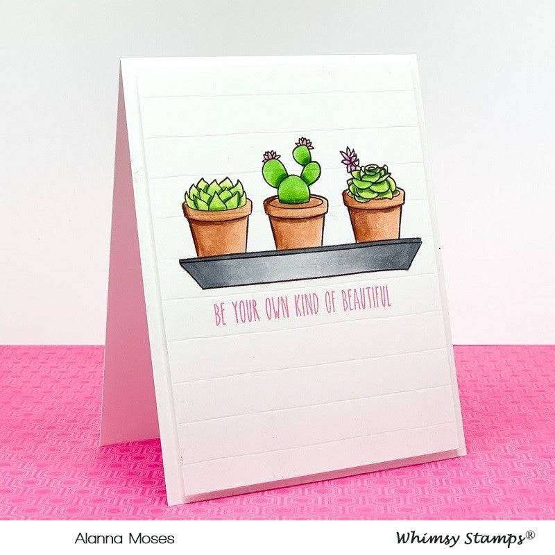 Sweet Succulents Clear Stamps - Whimsy Stamps