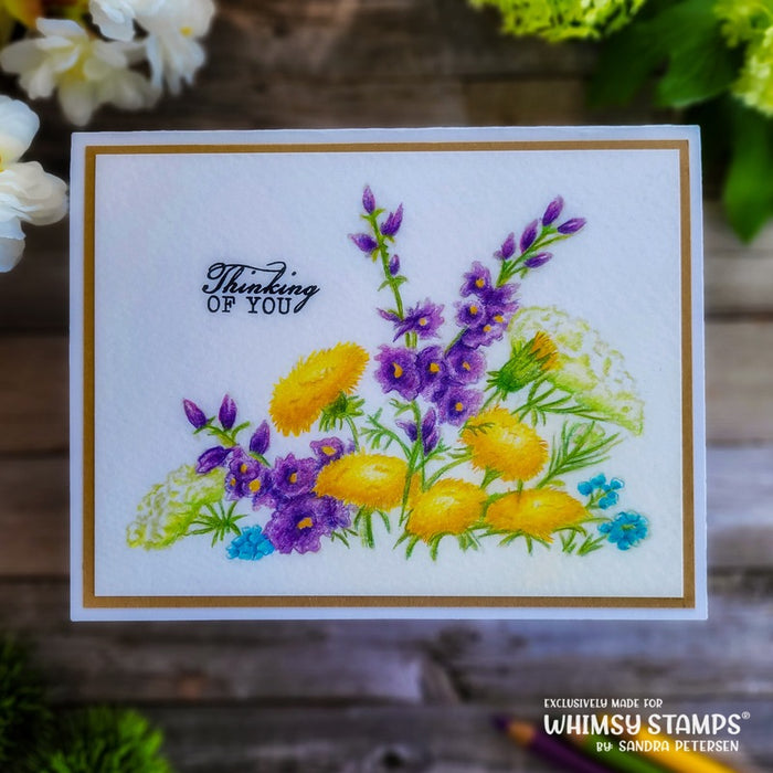 Sketchy Floral Clear Stamps - Whimsy Stamps