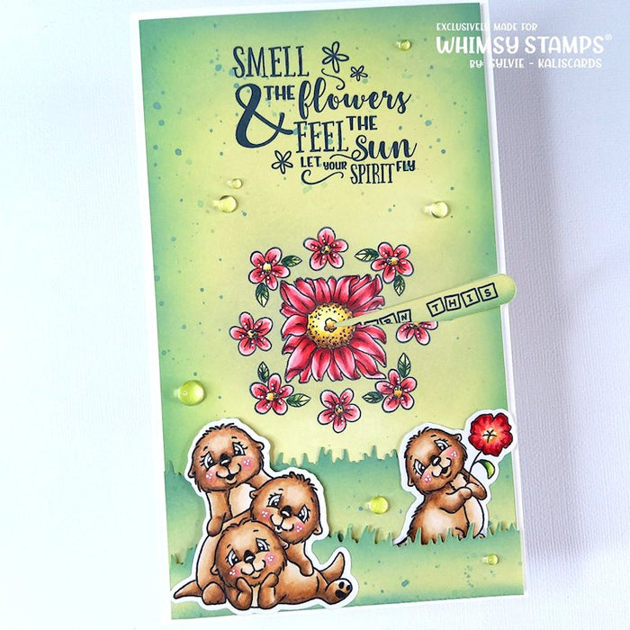 **NEW Magic Wheel Die Set - Whimsy Stamps