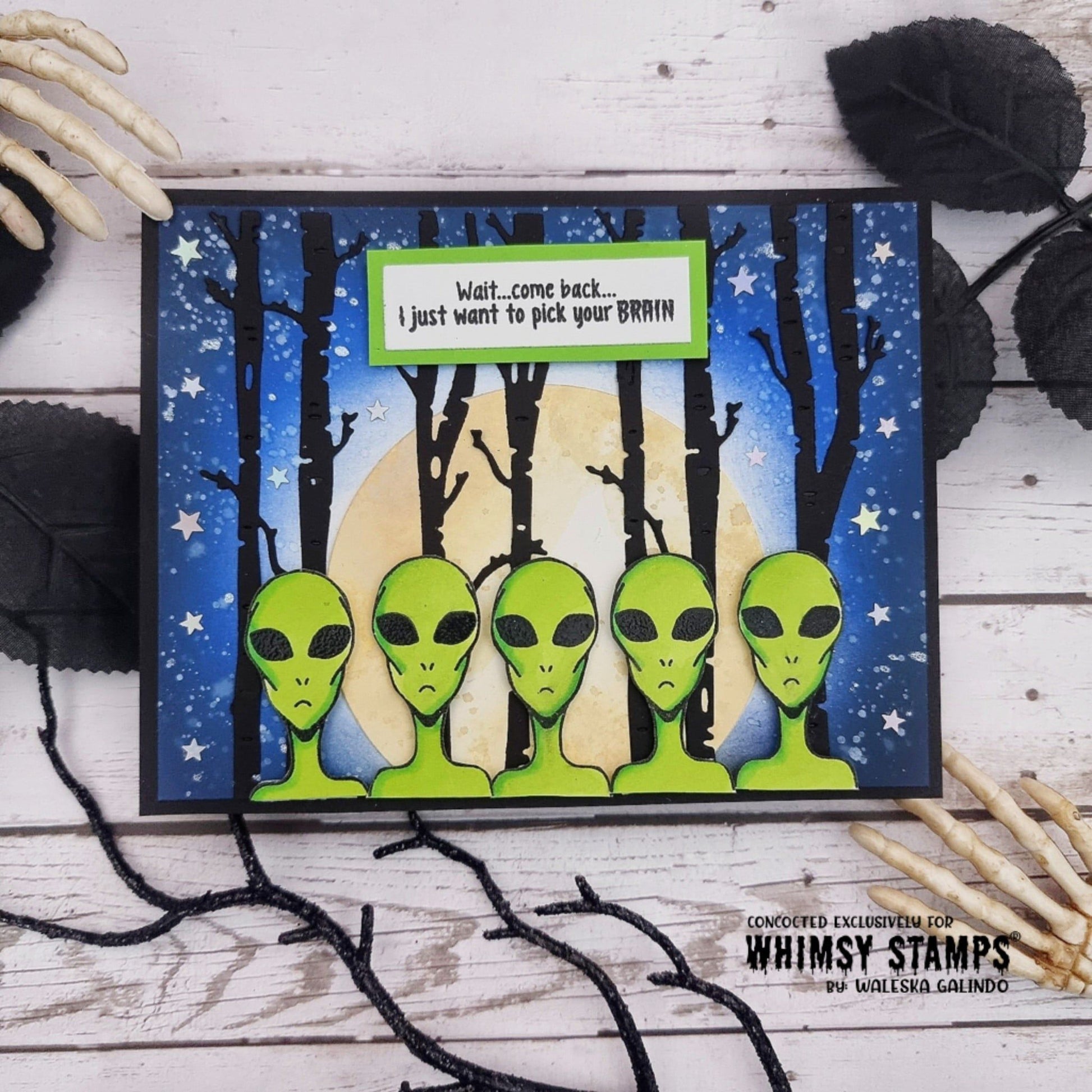 Black Hole Clear Stamps - Whimsy Stamps