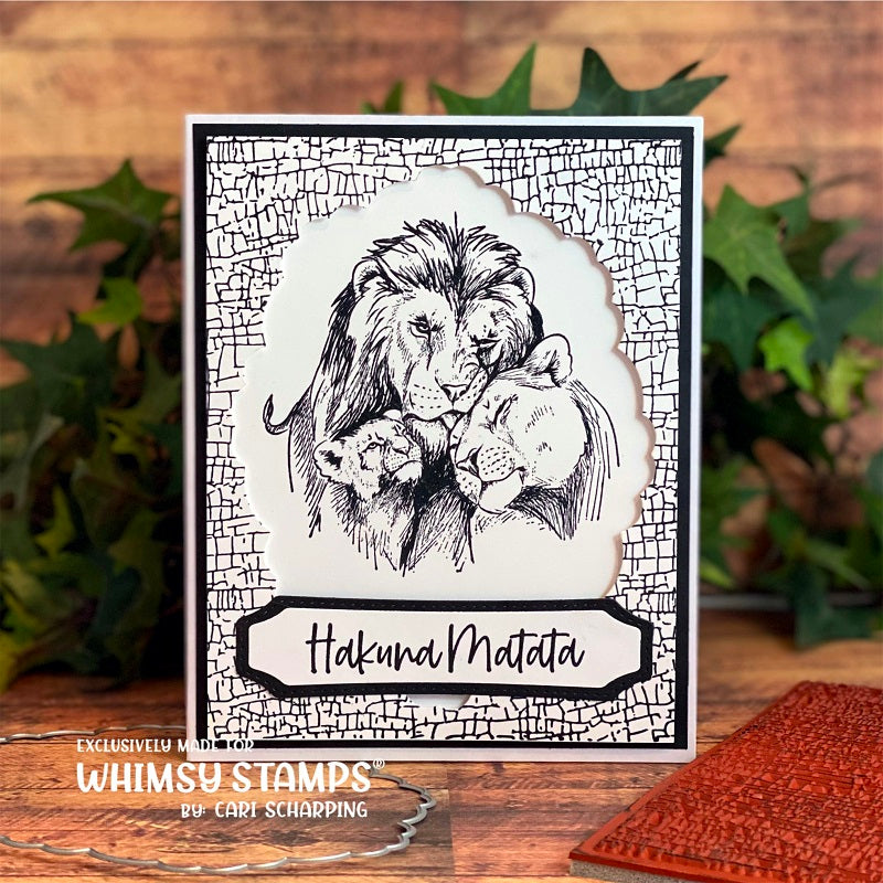 **NEW Chippy Paint Background Rubber Cling Stamp - Whimsy Stamps