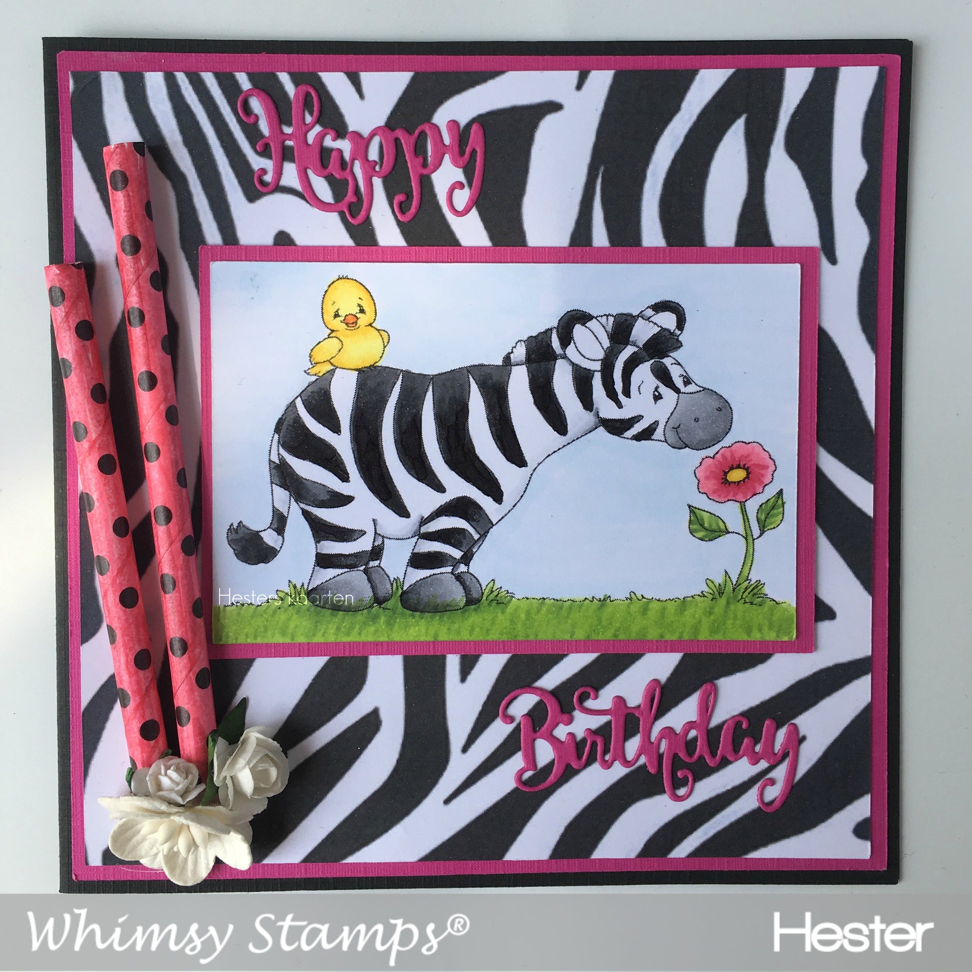 Spring Zebra - Digital Stamp - Whimsy Stamps