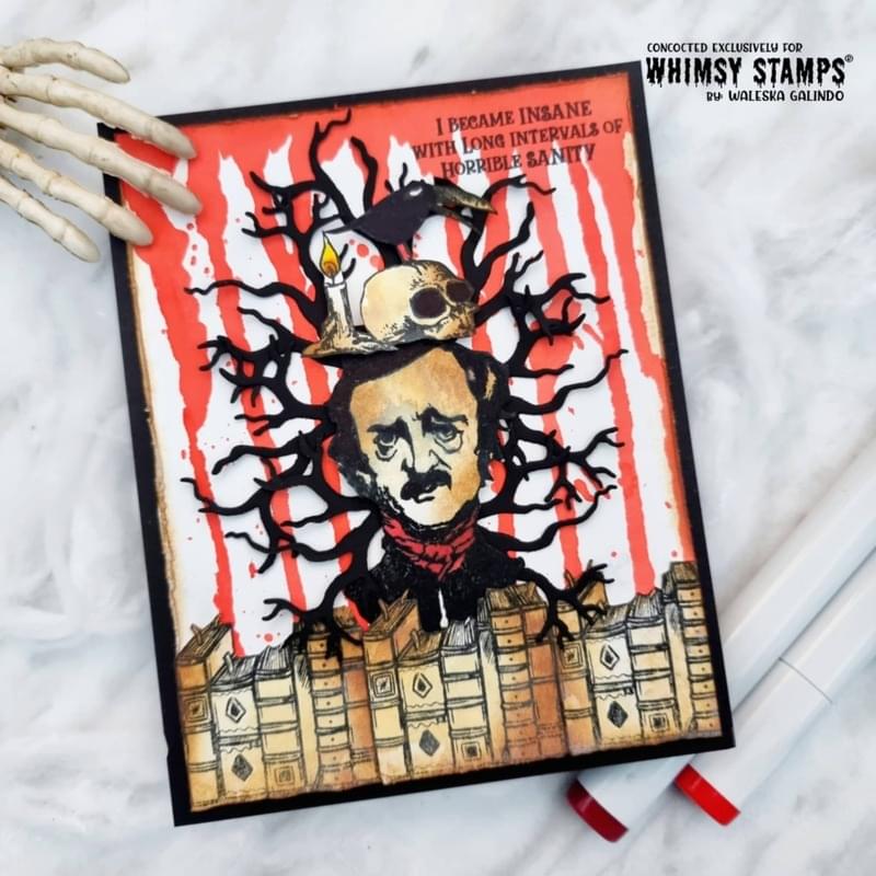 **NEW Poe Boy Clear Stamps - Whimsy Stamps