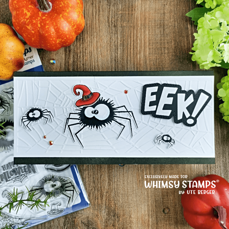 Slimline Embossing Folder - Broken Web - Whimsy Stamps
